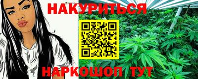 a pvp Ставрополь