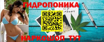 a pvp Ставрополь