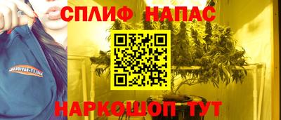 a pvp Ставрополь